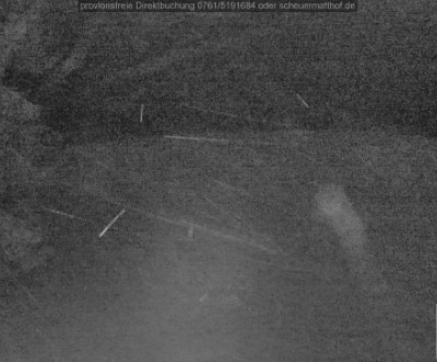 Todtnauberg / Schwarzwald