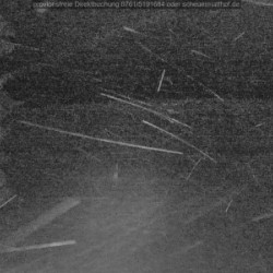 Webcam Scheuermattwiese / Todtnauberg