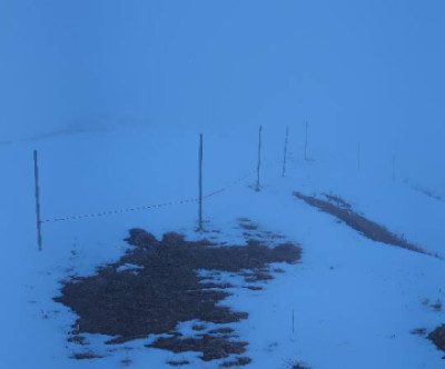 Fellhorn - Kanzelwand / Tirol