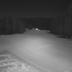 Webcam Mechi Chal / Chepelare