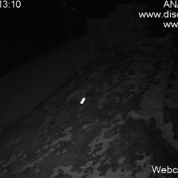 Webcam Subteleferic / Poiana Brasov