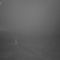 Webcam  / Kubinska Hola