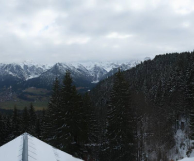 Oberstdorf - Söllereck / Allgäu