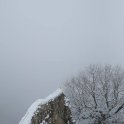 Webcam  / Pfronten - Breitenberg
