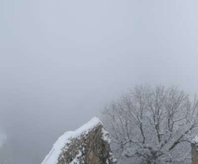 Pfronten - Steinach / Allgäu