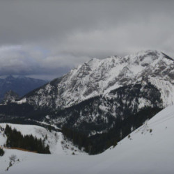 Webcam  / Pfronten - Steinach