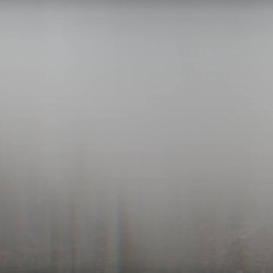 Webcam  / Pfronten - Steinach