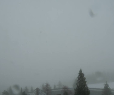 Gaberl - Stubalpe / Steiermark