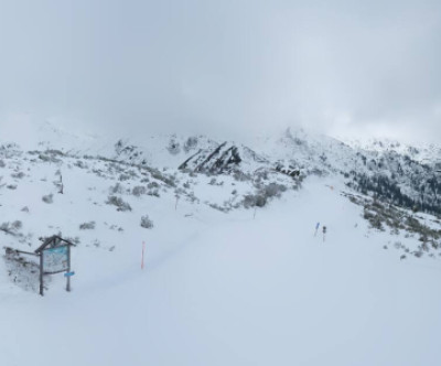 Planneralm / Steiermark