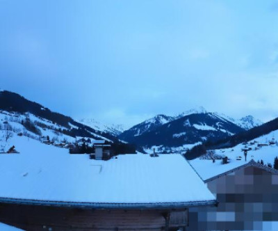 Wildschönau / Tirol