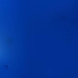 Webcam Hoadl / Axamer Lizum