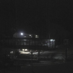 Webcam Bikepark, Streuböden Talstation (836m) / Fieberbrunn