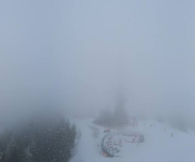 Planai - Schladming / Steiermark