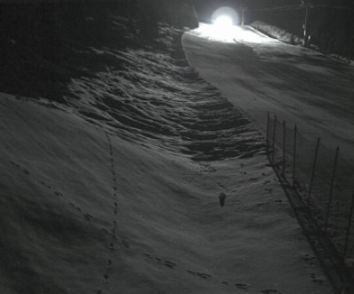 Reiteralm / Steiermark