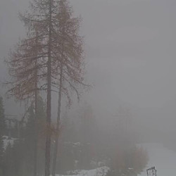 Webcam Höfi 1 Talstation / Hauser Kaibling