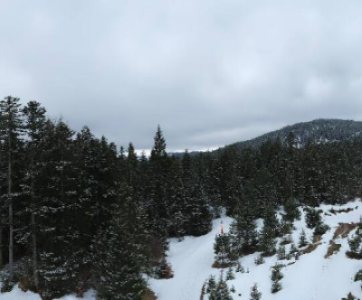 Leutasch - Kreithlift / Tirol