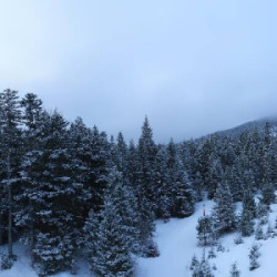 Webcam Katzenkopf Bergstation / Leutasch - Kreithlift