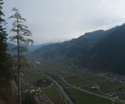 Finkenberg - Penken / Tirol