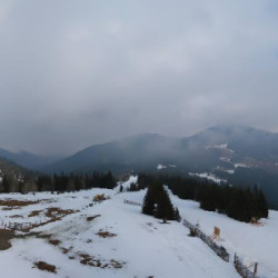 Webcam Bergstation / Salzstiegl