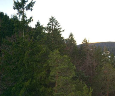 Seefeld - Gschwandtkopf / Tirol