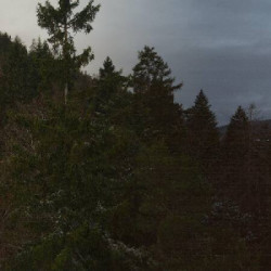 Webcam Toni-Seelos-Schanze / Seefeld - Gschwandtkopf