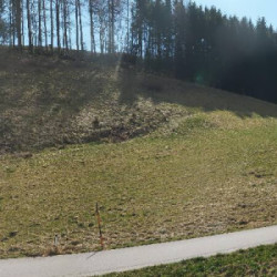 Webcam Weyregg am Attersee / Weyregg am Attersee