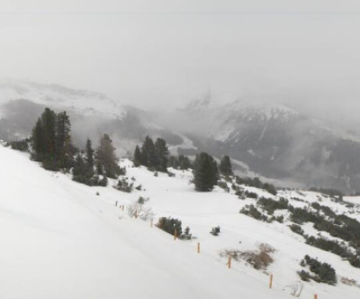 Zell am Ziller / Tirol