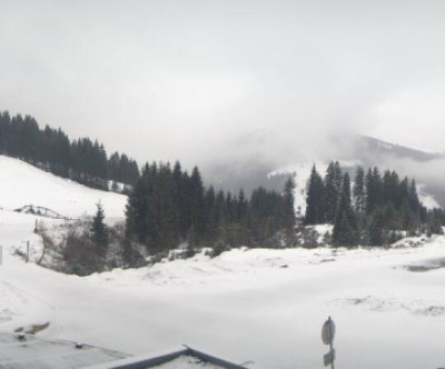 Zell am Ziller / Tirol