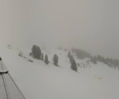 Zell am Ziller / Tirol