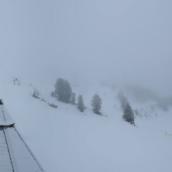 Webcam Kreuzwiese / Zell am Ziller