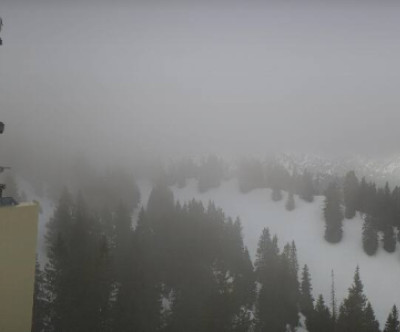 Schwangau - Tegelberg / Allgäu