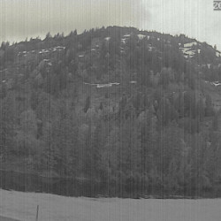 Webcam Alpe Hörmoos / Oberstaufen - Steibis