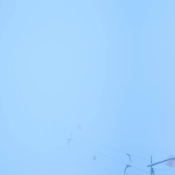 Webcam Almbahn / Ehrwalder Alm