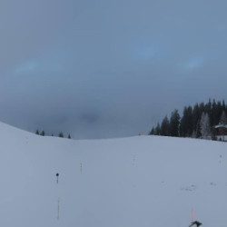 Webcam Hahnenkamm / Kitzbühel