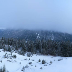 Webcam Katzenkopf Bergstation / Leutasch - Kreithlift