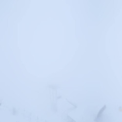 Webcam Eggalm / Lanersbach - Eggalm