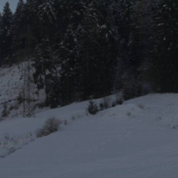 Webcam Ort / Brixen im Thale