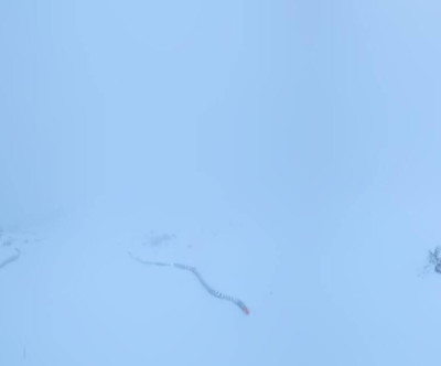 Steinach am Brenner - Bergeralm / Tirol