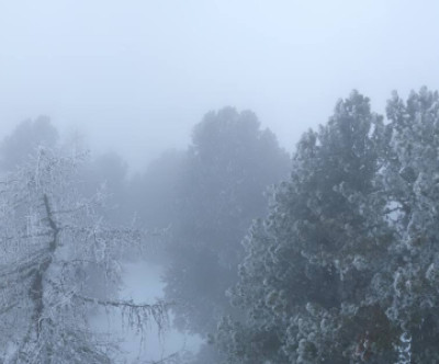 Stoderzinken / Steiermark