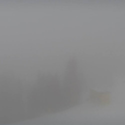Webcam Lärchkogelbahn / Hauser Kaibling