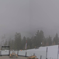 Webcam Höfi 1 Talstation / Reiteralm