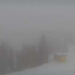Webcam Lärchkogelbahn / Reiteralm