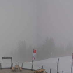 Webcam Höfi 1 Talstation / Planai - Schladming