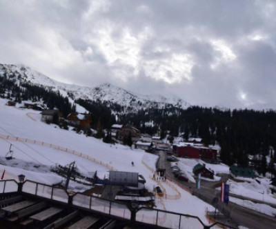 Planneralm / Steiermark