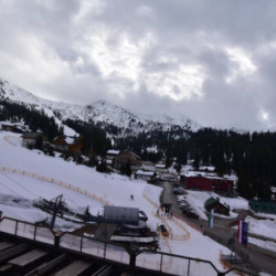 Webcam Seekaralm / Planneralm