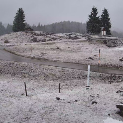 Webcam  / Reit im Winkl - Winklmoosalm