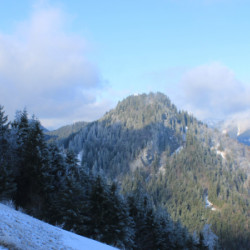 Webcam Unternbergalm / Ruhpolding