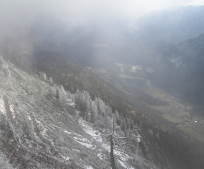 Unken - Heutal / Salzburger Land