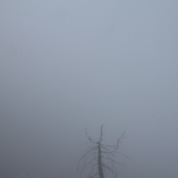 Webcam Hochgseng / Unken - Heutal