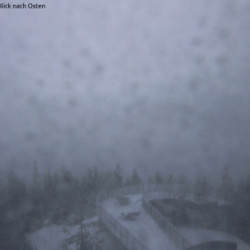 Webcam Seefeld / Seefeld - Gschwandtkopf